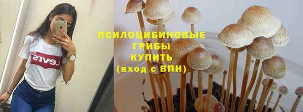 mdpv Нефтекумск