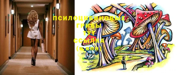 соль ск Нефтегорск