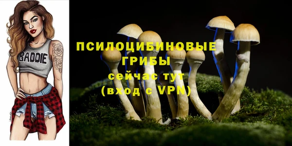 герыч Абинск
