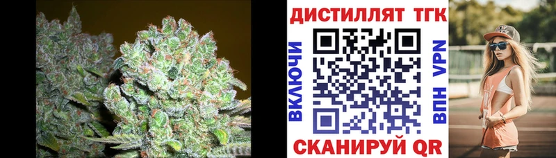ТГК концентрат  Хилок 