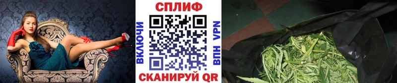 Конопля Bruce Banner Хилок